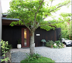 SETTAN