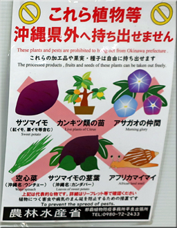 宮古