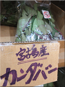 宮古