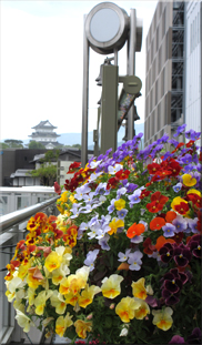 小田原