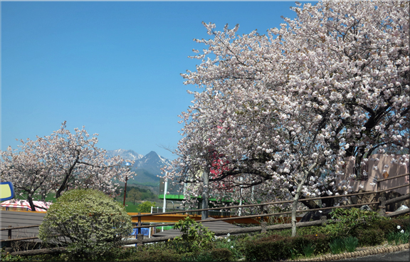 蒜山