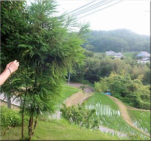 兵庫
