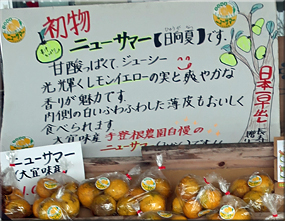 沖縄
