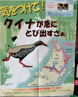 沖縄
