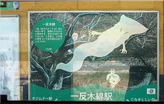 水木