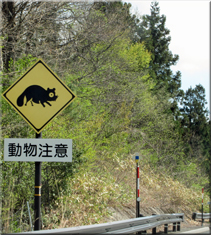 中国